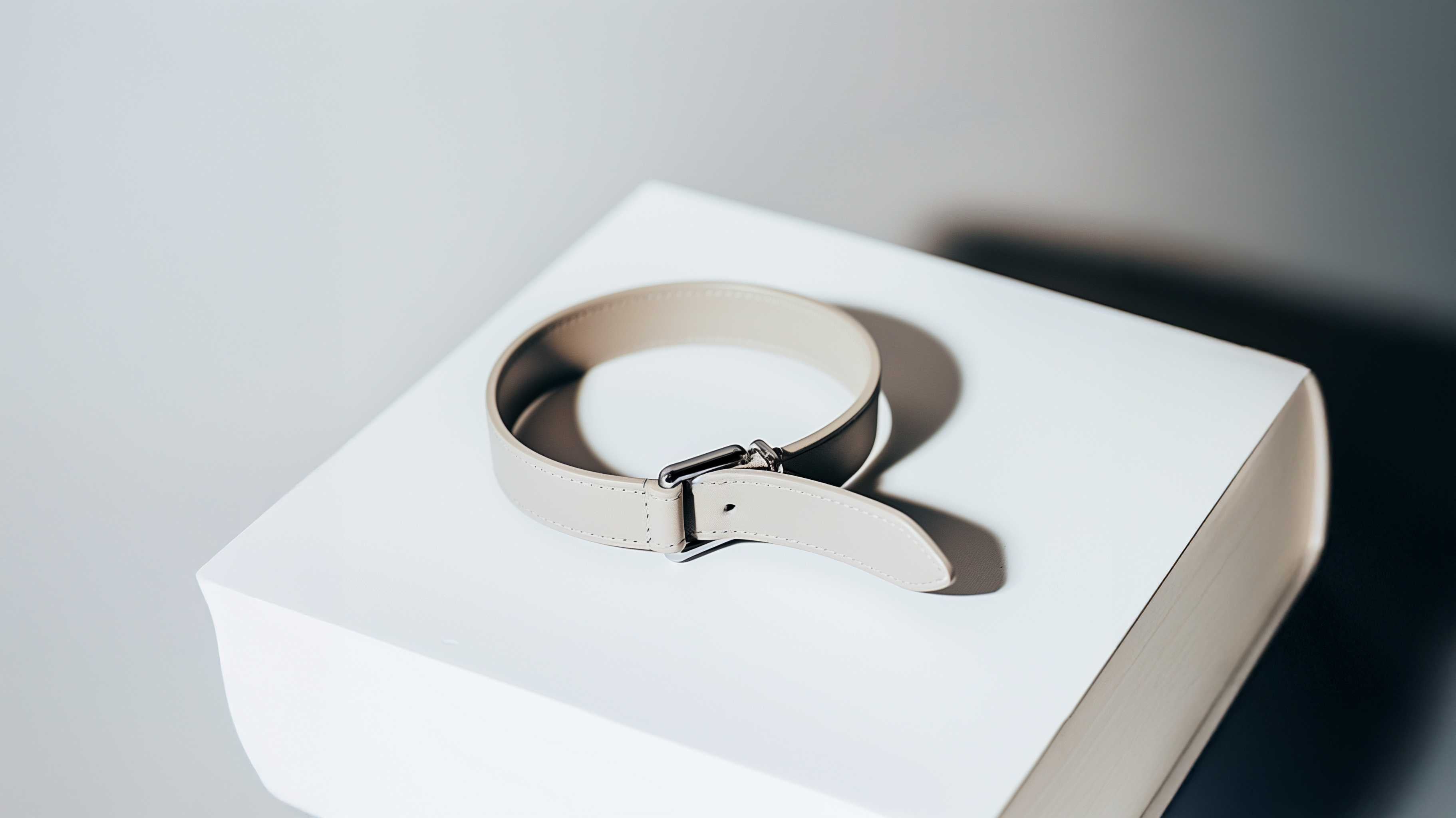 Essential Accessories for Your Pet's Daily Needs